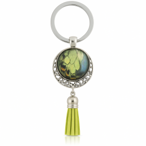 🌟 Starlight Drop 🌟