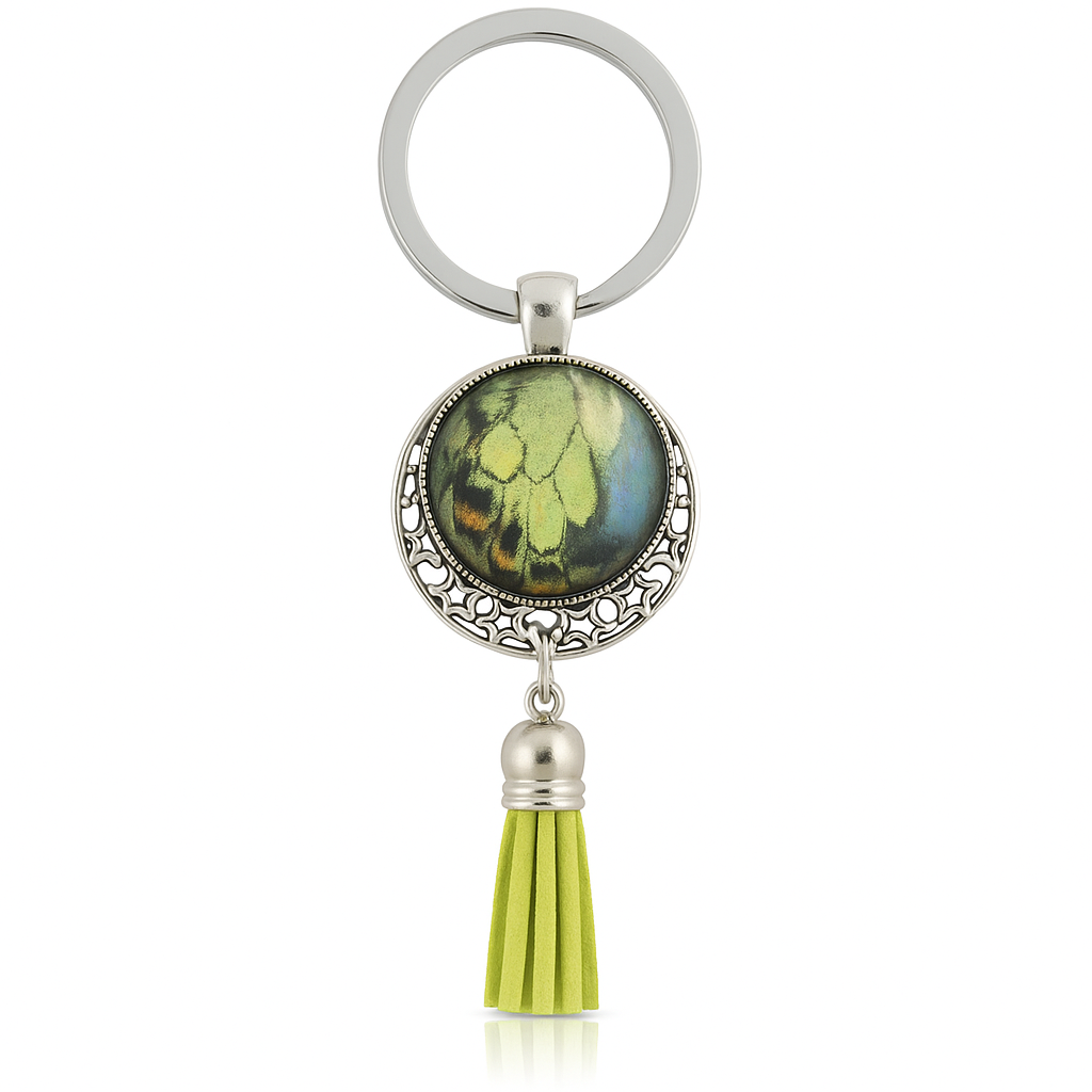 🌟 Starlight Drop 🌟